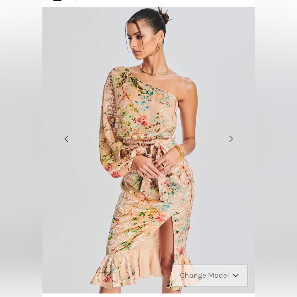 Hemant and Nandita Veena long dress